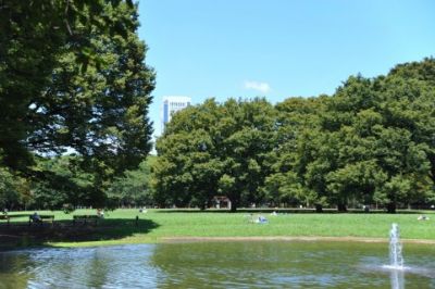 区みどり公園課