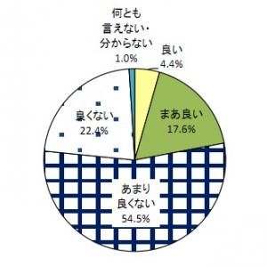 調査結果